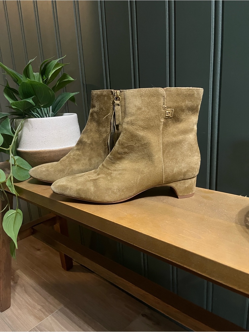 Franco Sarto Olive Suede Ankle Boots
